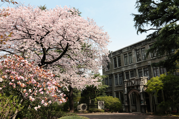 March 青山学院大学 名校志向塾 留学 进学权威辅导 腾讯企业空间